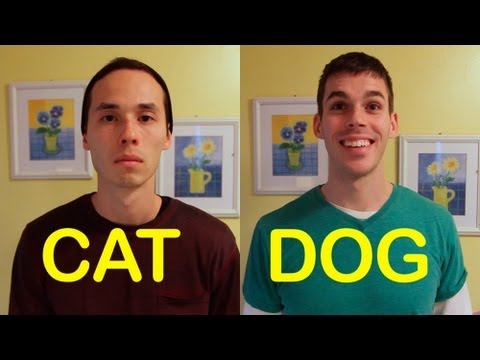 Cat Friend vs. Dog Friend