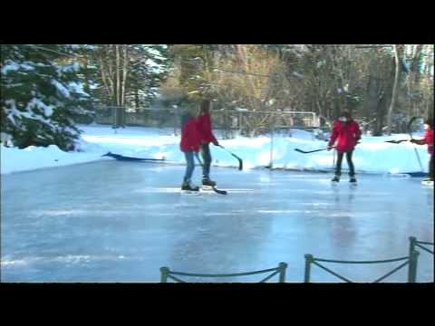 Backyard Ice Rink