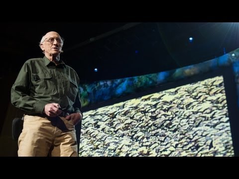 Stewart Brand: The dawn of de-extinction. Are you ready?