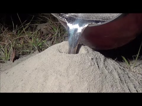 Pouring Molten Aluminum in Ant Hills